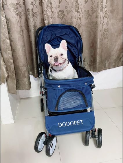 โปรเมษายน รถเข็นสัตว์เลี้ยง หน้าร้าน ถ.เทพรักษ์ บางเขน (เพ็ทพริตตี้) รูปที่ 4