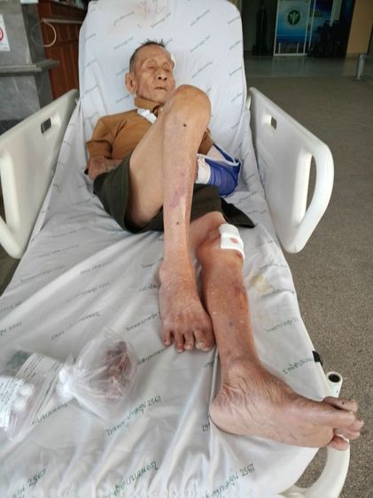 ขายลูกสุนัขพันธ์ุปั๊ก รูปที่ 5