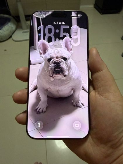 iphone 16 pro max 256gb สีทะเลทราย รูปที่ 2