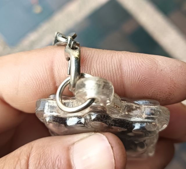 เต่า 1 องค์ รูปที่ 6