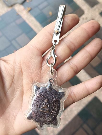 เต่า 1 องค์ รูปที่ 7