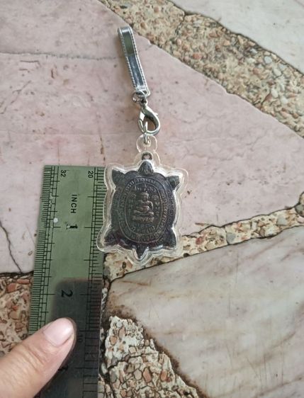 เต่า 1 องค์ รูปที่ 10