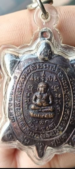 เต่า 1 องค์ รูปที่ 8