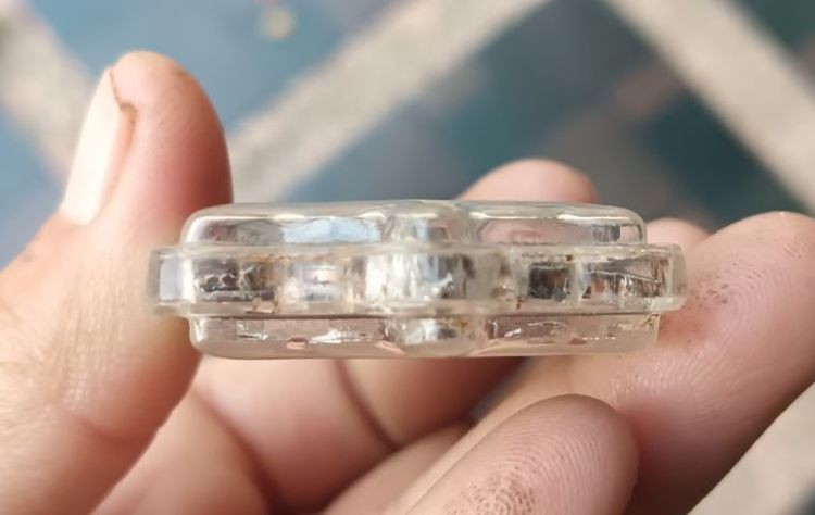 เต่า 1 องค์ รูปที่ 5