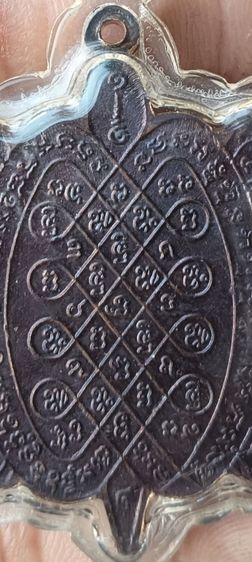 เต่า 1 องค์ รูปที่ 9