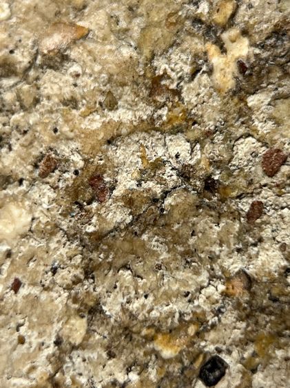 พระสมเด็จวัดระฆังพิมพ์ใหญ่ ส่งตามรูป (112) รูปที่ 9