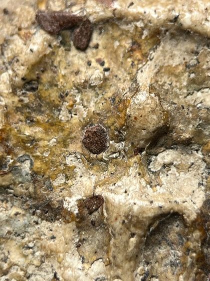 พระสมเด็จวัดระฆังพิมพ์ใหญ่ ส่งตามรูป (112) รูปที่ 5