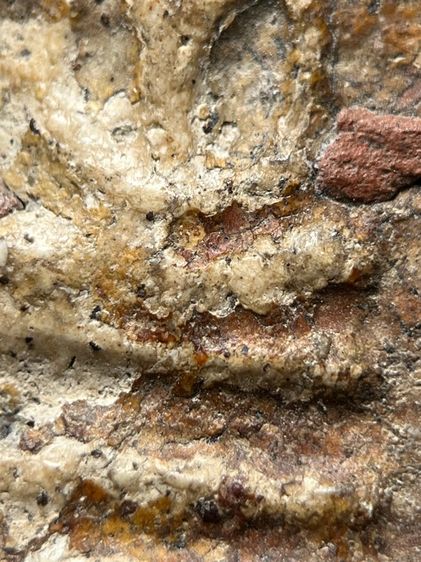 พระสมเด็จวัดระฆังพิมพ์ใหญ่ ส่งตามรูป (112) รูปที่ 7