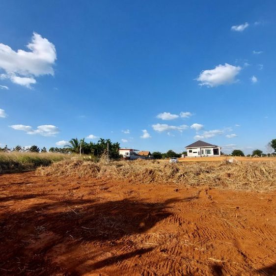 ใช่ ที่ดินปากช่องวิวเขาผ่อนจ่ายได้ รูปที่ 4