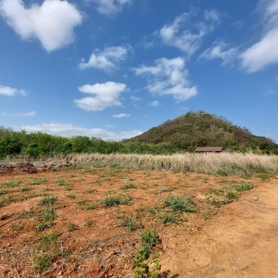 ที่ดินปากช่องวิวเขาผ่อนจ่ายได้