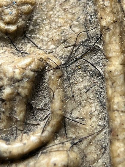 พระสมเด็จวัดระฆังพิมพ์ใหญ่มีหน้ามีตา โรยเส้นเกศา ส่งตามรูป (113) รูปที่ 5