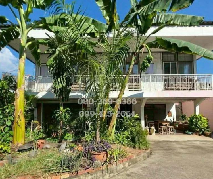 ขายที่ดินเอกมัยทองหล่อ ที่ดินศักยภาพสูง รูปที่ 3