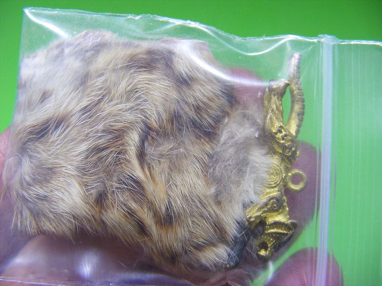 พุทธคุณมหาอำนาจ พระบ้านๆเดิมๆ