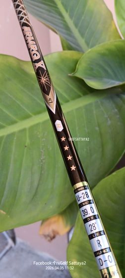 HONMA BERES U 4 ดาว รูปที่ 4