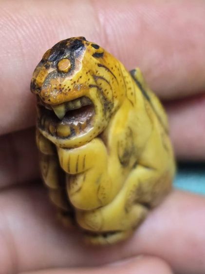 หลวงพ่อพัว รูปที่ 6