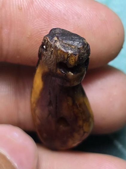 หลวงพ่อปาน รูปที่ 4