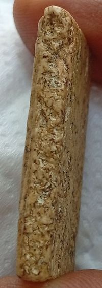 พระสมเด็จวัดระฆังโฆสิตาราม รูปที่ 5