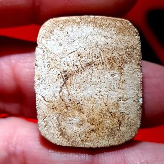 หลวงพ่อปาน ขี่เม่น รูปที่ 6