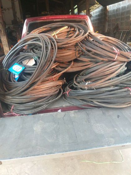 สายพานยาวตาสามเหลี่ยมกับ 2 ดาว