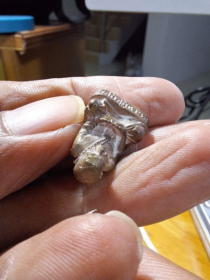 รูปหล่อ สมปราถณา หลวงปู่หมุน รูปที่ 6