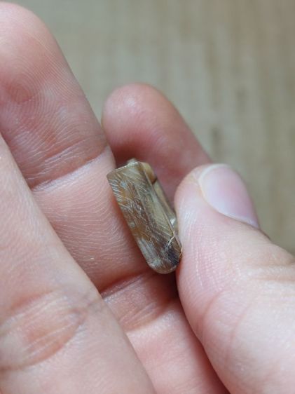 เครื่องรางแพะเขาควายเผือกหลวงพ่ออ่ำ รูปที่ 3