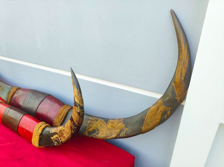 เขาควายแกะสลักมังกรพันรอบ     งานโชว์   งานฝีมือ   สภาพสวย รูปที่ 3