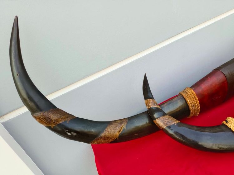 เขาควายแกะสลักมังกรพันรอบ     งานโชว์   งานฝีมือ   สภาพสวย รูปที่ 13