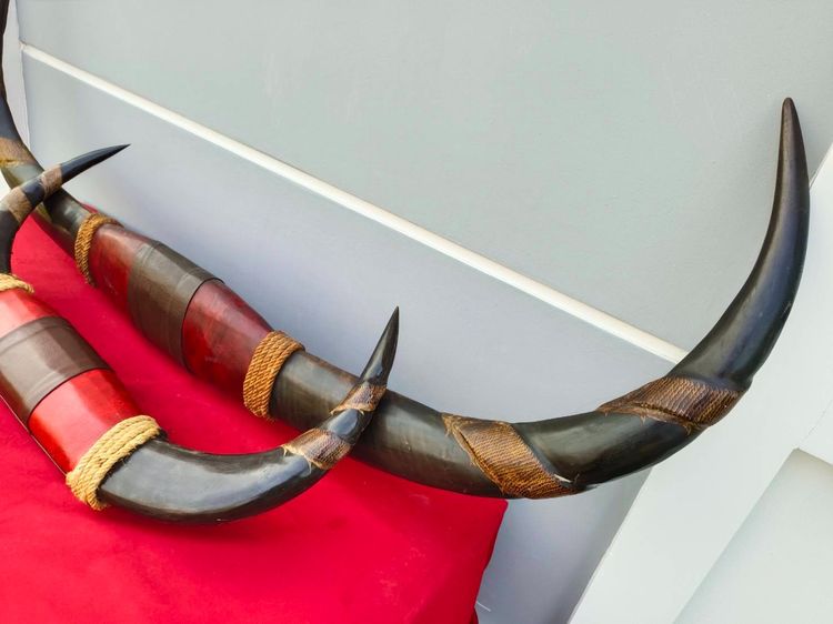 เขาควายแกะสลักมังกรพันรอบ     งานโชว์   งานฝีมือ   สภาพสวย รูปที่ 14