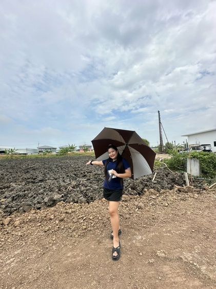 ที่ดิน รูปที่ 4