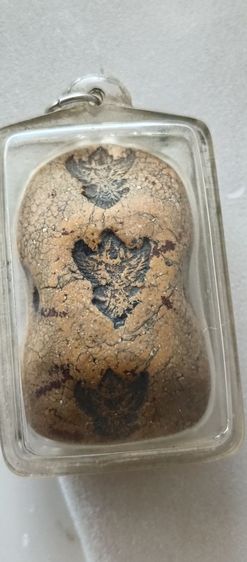 ปล่อยเช่า รูปที่ 6