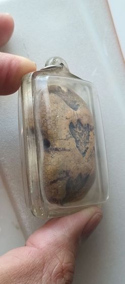 ปล่อยเช่า