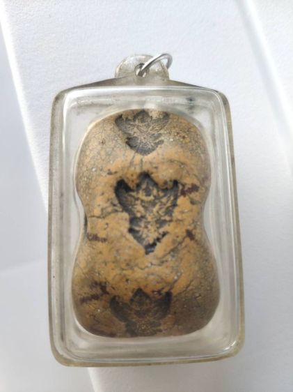 ปล่อยเช่า รูปที่ 5