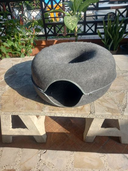 ที่นอนกับเบาะสัตย์เลี้ยง รูปที่ 2