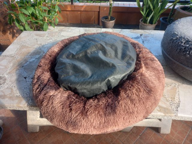 ที่นอนกับเบาะสัตย์เลี้ยง รูปที่ 7