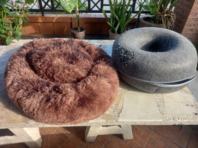 ที่นอนกับเบาะสัตย์เลี้ยง