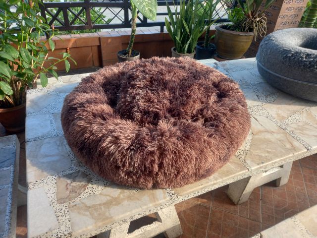 ที่นอนกับเบาะสัตย์เลี้ยง รูปที่ 4