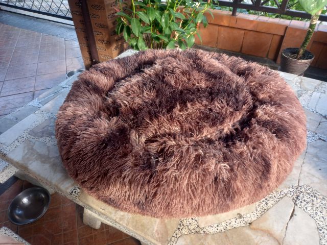 ที่นอนกับเบาะสัตย์เลี้ยง รูปที่ 6