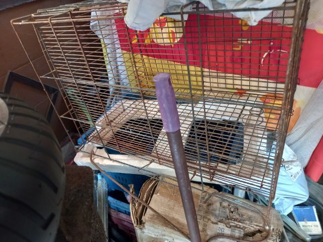 กรงสัตย์เลี้ยง รูปที่ 2