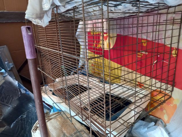 กรงสัตย์เลี้ยง