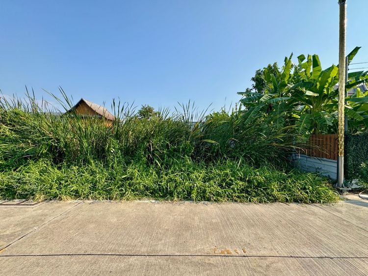 ที่ดินราคาดี ซอยราชา 2 อ.บางพลี จ.สมุทรปราการ