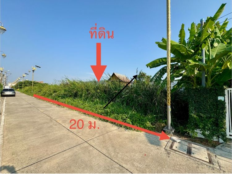 ที่ดินราคาดี ซอยราชา 2 อ.บางพลี จ.สมุทรปราการ รูปที่ 2