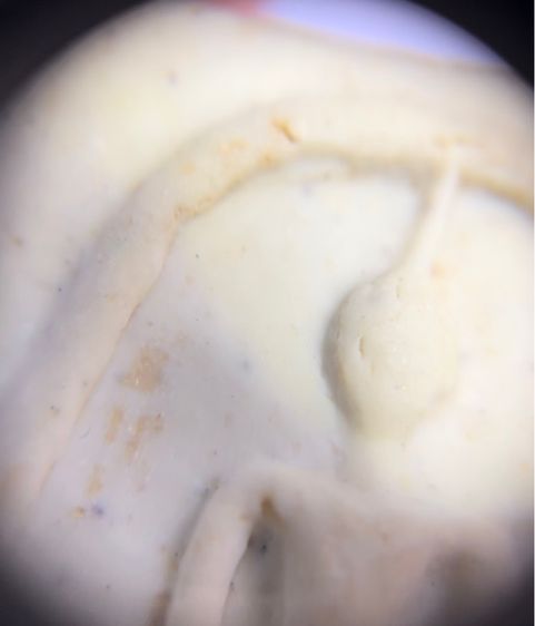 สมเด็จพิมพ์ใหญ่ รูปที่ 10