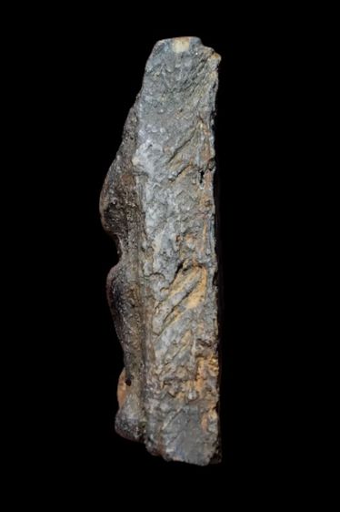 พระนางพญาพิษณุโลก รูปที่ 15