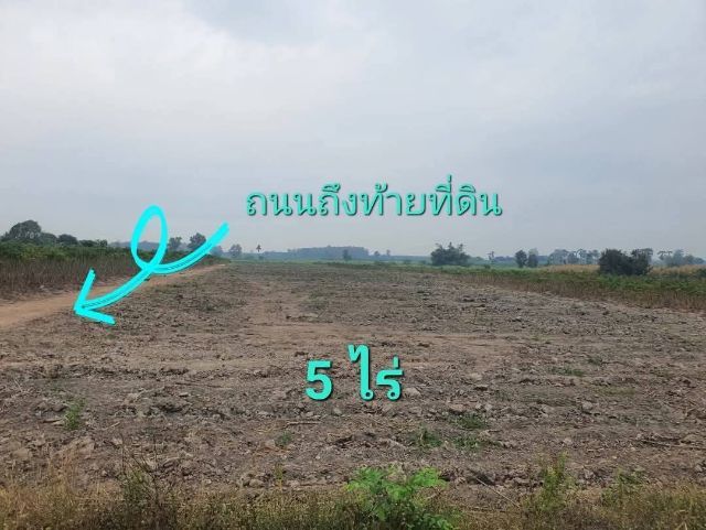 ไม่ใช่ ขายทีดินเปล่าล็อกละ1ไร่จำนวน5ไร่ รูปที่ 3