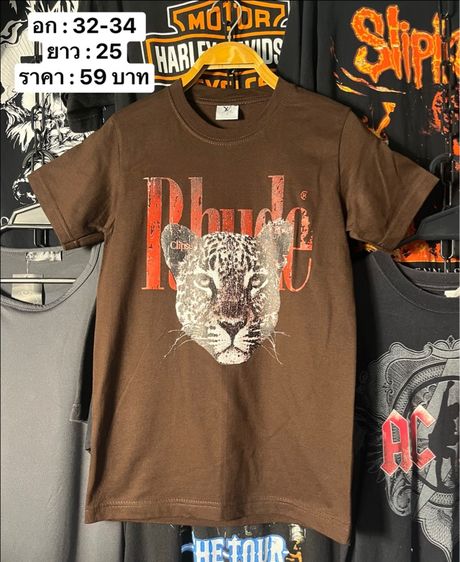 เสื้อยืด รูปที่ 14