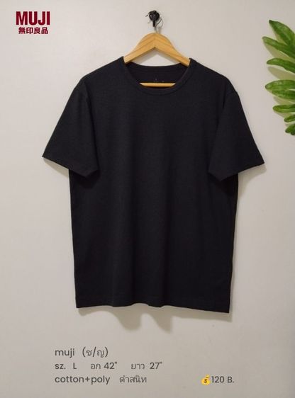 เสื้อยืดผู้หญิง (มีเยอะ) รูปที่ 6
