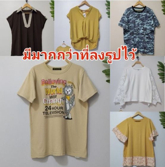 เสื้อยืดผู้หญิง (มีเยอะ)