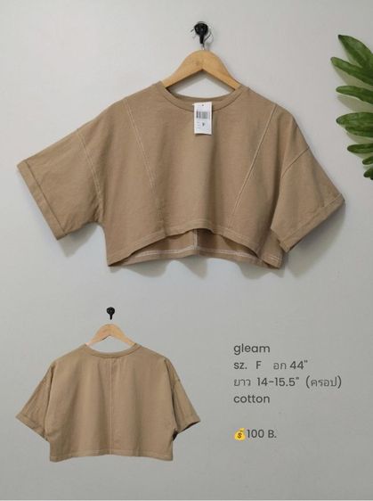 เสื้อยืดผู้หญิง (มีเยอะ) รูปที่ 13