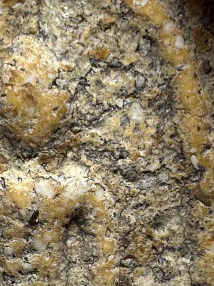 พระสมเด็จวัดระฆังพิมพ์ใหญ่ หลวงสิทธิการ ส่งตามรูป (113) รูปที่ 5