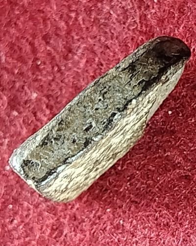  พระซุ้มกอ พิมพ์จิ๋ว กรุวัดพิกุล ทุ่งเศรษฐี จังหวัดกำแพงเพชร ตัวจริง ราคาจริง พิสูจน์ได้ จากกล้องจุลทัศ  รูปที่ 5